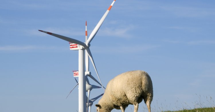 Titelbild zum Artikel "Windenergie nach Ende der EEG-Förderung"