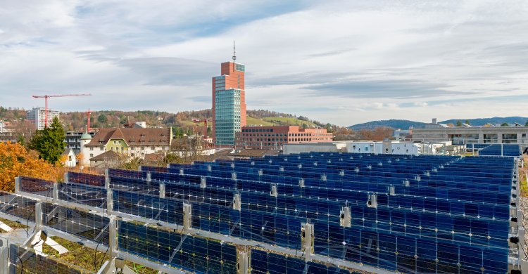 Titelbild zum Artikel "Vertikale Solarpaneele Gründach und Solaranlage müssen intelligent kombiniert sein"