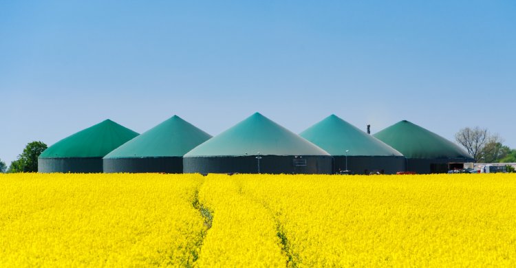 Artikelbild zu "Perspektive für den Biogasanlagenbestand"