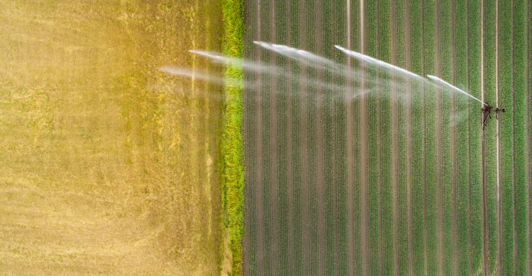 Artikelbild zu "Neue Wege bei der Digitalisierung der Wasserwirtschaft"