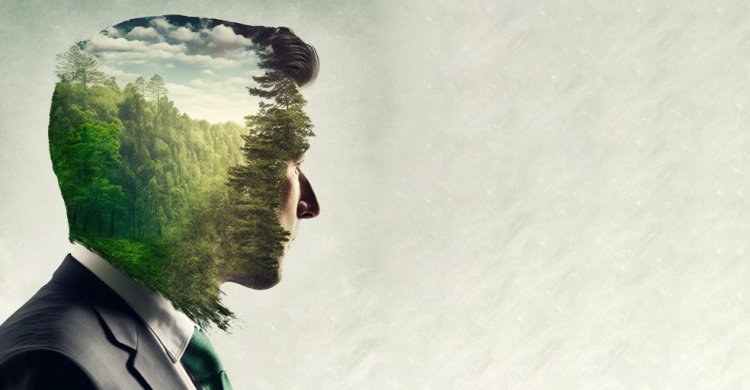 Artikelbild zu "Von Smart Greening zu ESG"